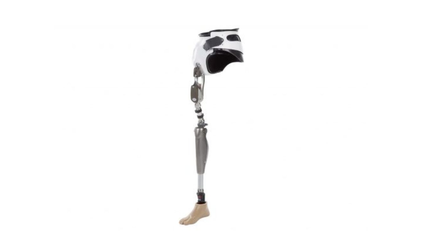 Hip disarticulation prosthesis